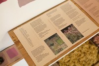 varied clarity: an index, 2021, handmade paper and ink, natural dye, cloth, reclaimed lumber, 7’ x 14’ installation. Photo credit: Hope Millham