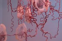 The Cord of Life (details), 2021, hand-felted merino wool, organza silk, wire, 6.5 feet diameter x 6 feet height