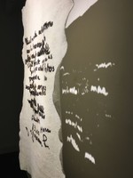 I Am Losing Consciousness (detail), 2021, laser cut hand-felted merino wool, 40 x 33 inches