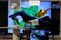 Untitled Business, installation shot (detail)