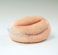 Fixed, 2022, ceramic, silicone, medical sutures, 4”x6”x6”