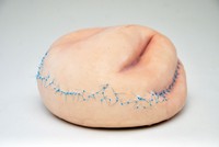 Fixed, 2022, ceramic, silicone, medical sutures, 4”x6”x6”