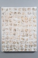 Alison Wells - White Field