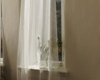 Perennial (selected images), 2021 to 2023, archival inkjet prints, 30 x 40 in.