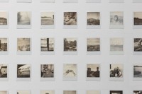 Polaroids, 2021 to 2023 (ongoing), 156 instant photographs, 35.5 x 141 in.
