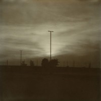 Polaroids, 2021 to 2023 (ongoing), 156 instant photographs, 35.5 x 141 in.