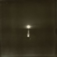 Polaroids, 2021 to 2023 (ongoing), 156 instant photographs, 35.5 x 141 in.