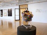 2013 MFA Exhibition