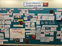 Covid-19 class project board