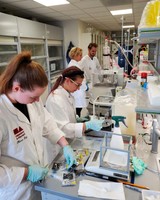 UMassD, University of Akureyri (Iceland), and University of Reading (U.K.) students working together in a Akureyri lab.