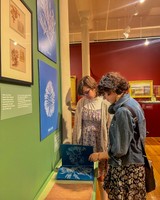 CVPA students pictured in downtown New Bedford