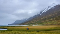 Students wade into a fjord in Héðinsfjörður, Iceland to take water and sediment samples.