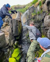 Students collect samples of 