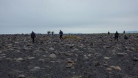 Volcanic and rocky sediment in Iceland provides difficult environments for life to grow.