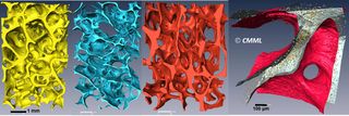 Jun Li - research - micro-CT imaging of bone and its components
