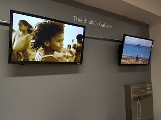 Raquel Paiewonsky, Symbiosis for Salvation, 2009