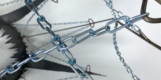 Ren Hawley - hero image