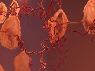 Paulina Fuenzalida - The Cord of Life