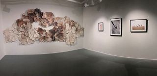 Gallery 244 Installation