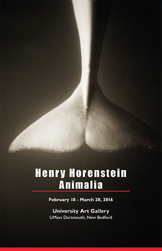 Henry Horenstein - Animalia