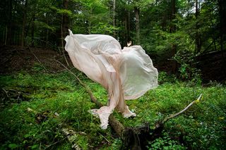 Ⓒ Corinne Spencer: Rose of Sharon, 2021