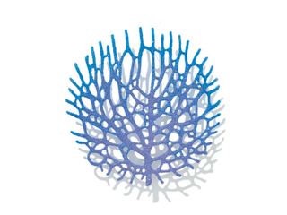 Meredith Woolnough - fateful florescence #2