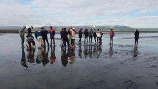 Investigating microbial life in Iceland: students collecting samples on the shore