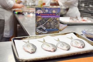 Fish on a baking sheet