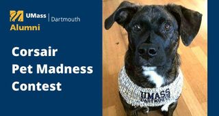 Corsair Pet Madness Contest with photo of Dog wearing UMass Darmouth swag