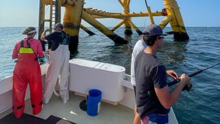 Scientists fishing near a wind turbine near Block Island