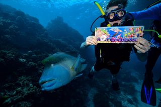 Student Aidan Root scuba diving in the Great Barrier Reef while studying in Australia
