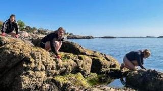 Collecting specimens on rocks