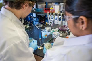 Genetic research
