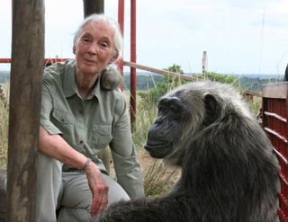 Dr. Jane Goodall with chimp