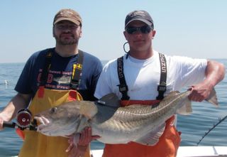 Doug Zemeckis & Steve Cadrin