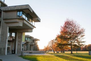Tree with foliage near facade of UMass Dartmouth building