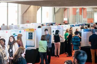 Undergrad research fair