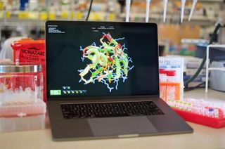 Laptop running Fold-It game