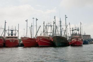 Fishing Boats in New Bedford Harbor