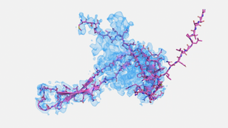 3D render of protein molecules