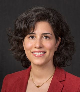 Arghavan Louhghalam