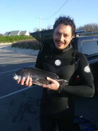 Mike Coute, MS student at SMAST, with tautog