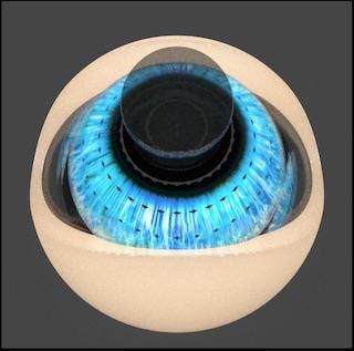 A snapshot of the eye drop simulation by a UMassD EAS-CSE graduate student, Cory Hoi.