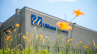 Tripp Center in the spring