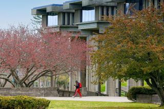 library trees