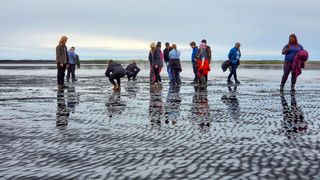 Biology students investigating microbiomes in Iceland