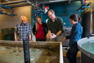 Professor Stokesbury showing students shellfish