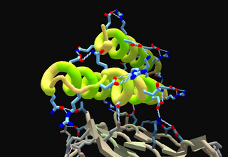 Foldit results proteins