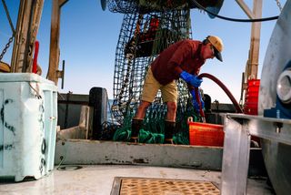 A fisherman working on a fishing boat where SMAST researchers test new technology