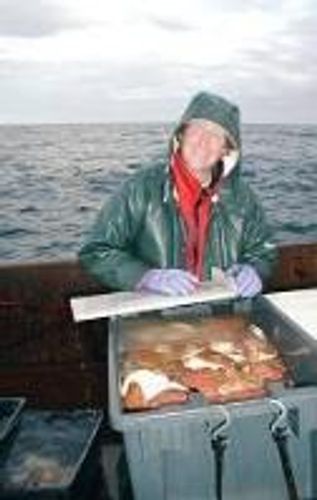 Professor leading working group on scallops